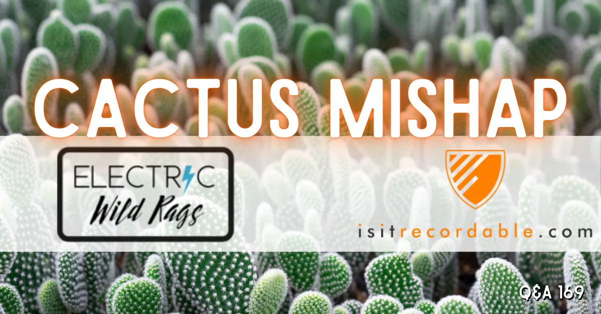 Illustration for the scenario: Cactus Mishap